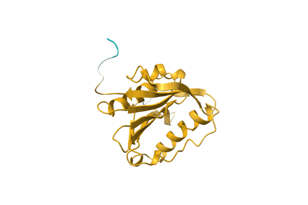 AF-A0A1I6ZYY1-F1 image