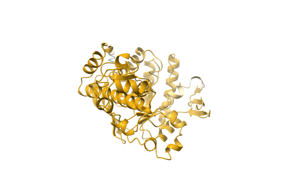 AF-A0A1I7ARY1-F1 image