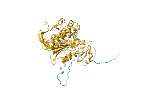 AF-A0A1I7AS79-F1 image