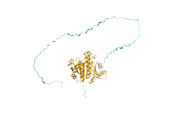 AF-A0A1I7ASE5-F1 image