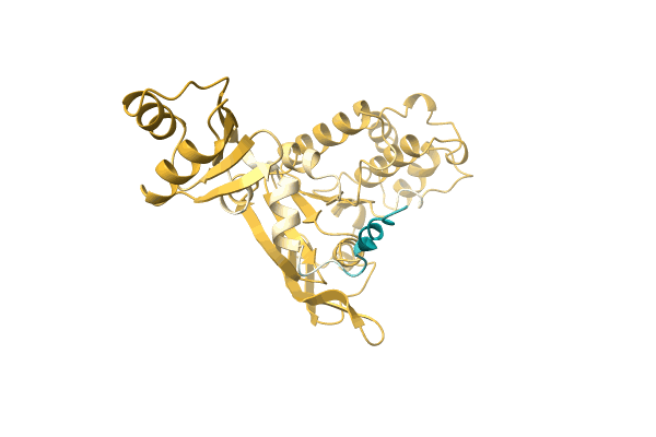 AF-A0A1I7AW53-F1 image