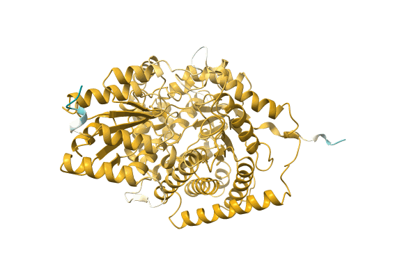 AF-A0A1I7CP30-F1 image