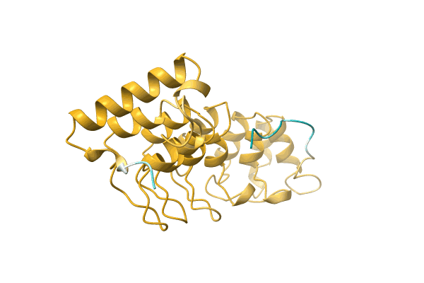 AF-A0A1I7J498-F1 image