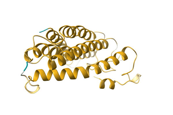 AF-A0A1I9S0E9-F1 image