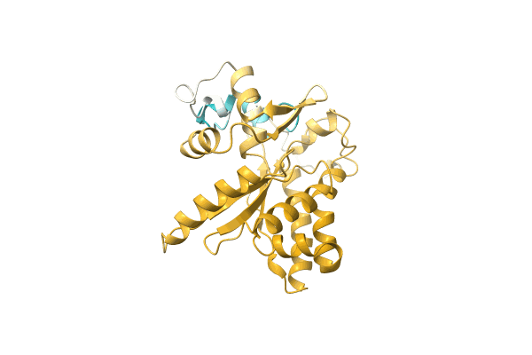 AF-A0A1I9SSG1-F1 image