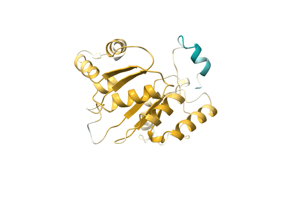 AF-A0A1I9SSI2-F1 image