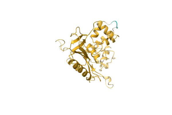 AF-A0A1I9WNC8-F1 image