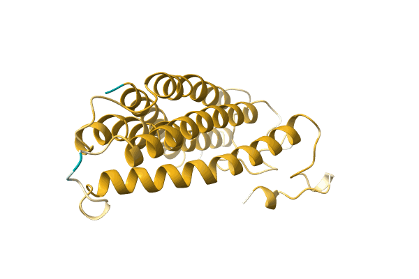 AF-A0A1L2ILT8-F1 image