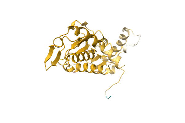 AF-A0A1L3G9X4-F1 image