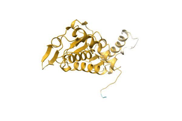 AF-A0A1L3GA51-F1 image