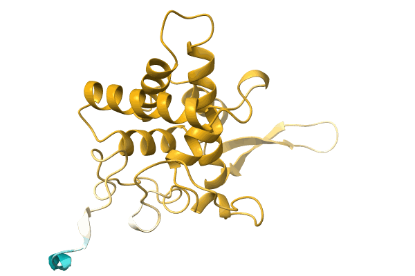 AF-A0A1L3GBI6-F1 image