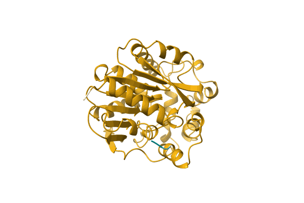 AF-A0A1L5BTC1-F1 image