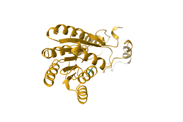 AF-A0A1L5BU05-F1 image