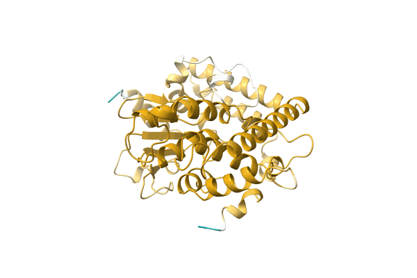 AF-A0A1L5BUX8-F1 image