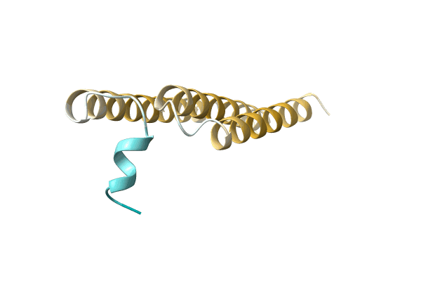 AF-A0A1L5BWF6-F1 image