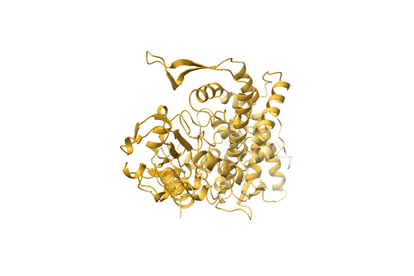 AF-A0A1L5BWN2-F1 image