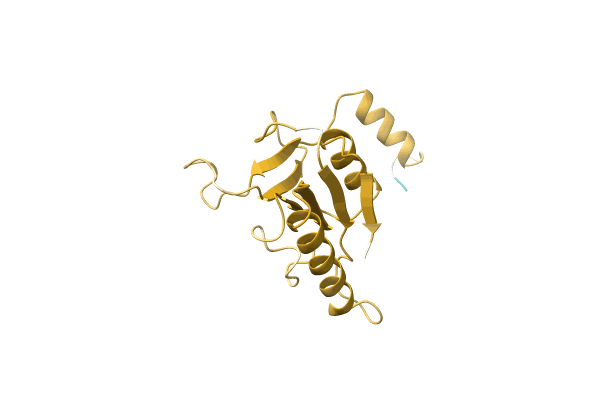 AF-A0A1L5IV55-F1 image