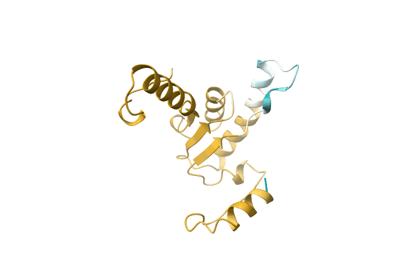 AF-A0A1L5IXC2-F1 image