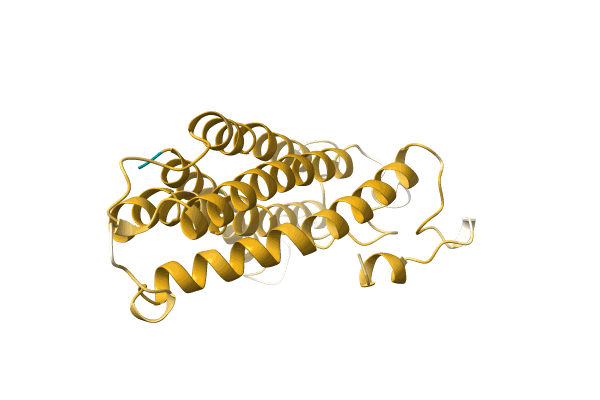 AF-A0A1L5IXY1-F1 image