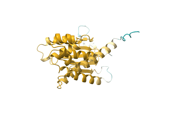 AF-A0A1L7R8B7-F1 image