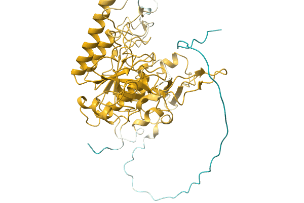 AF-A0A1L7R8H5-F1 image