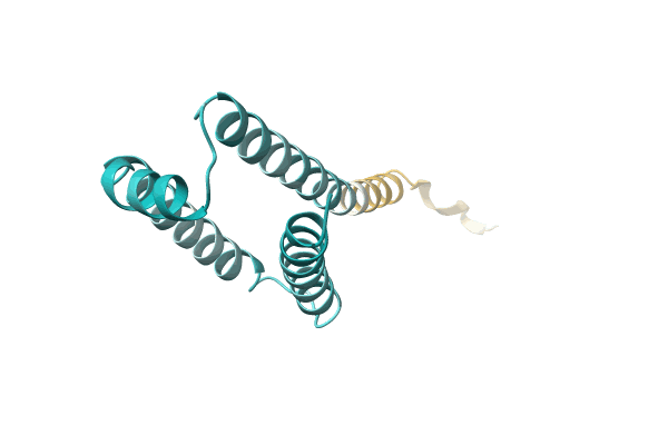 AF-A0A1L7R8P5-F1 image