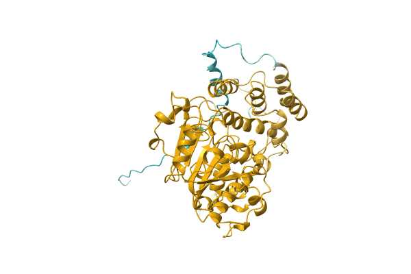 AF-A0A1L7SU93-F1 image