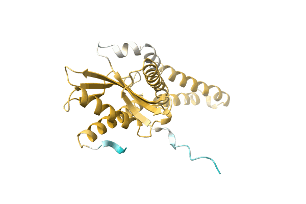 AF-A0A1L7SUD2-F1 image