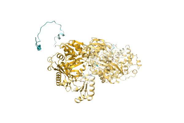 AF-A0A1L7SUL1-F1 image