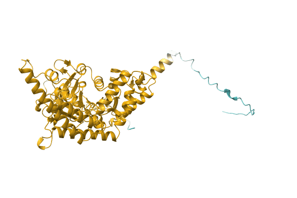 AF-A0A1L7SUN2-F1 image