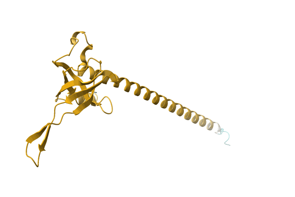 AF-A0A1L7SUP5-F1 image