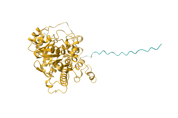 AF-A0A1L7SVZ6-F1 image