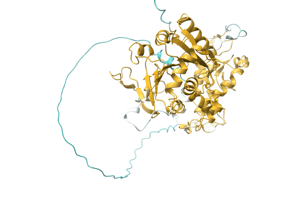 AF-A0A1L7SW19-F1 image