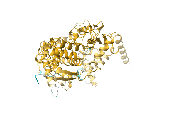 AF-A0A1L9URA0-F1 image