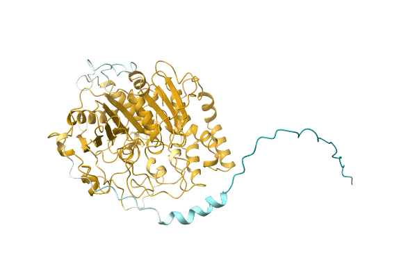 AF-A0A1L9WN42-F1 image