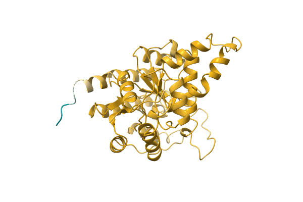 AF-A0A1L9WN60-F1 image