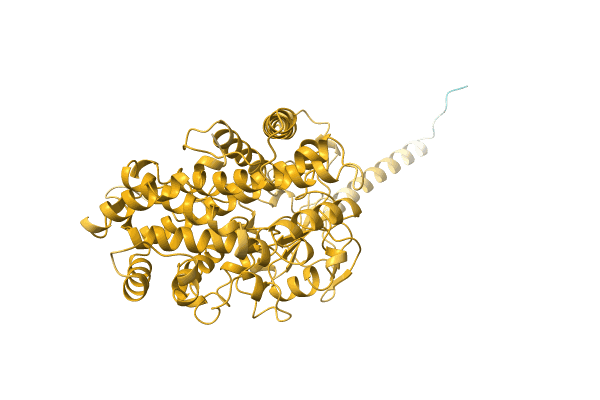 AF-A0A1L9WN72-F1 image