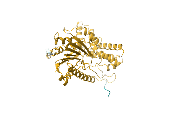 AF-A0A1L9WQN9-F1 image