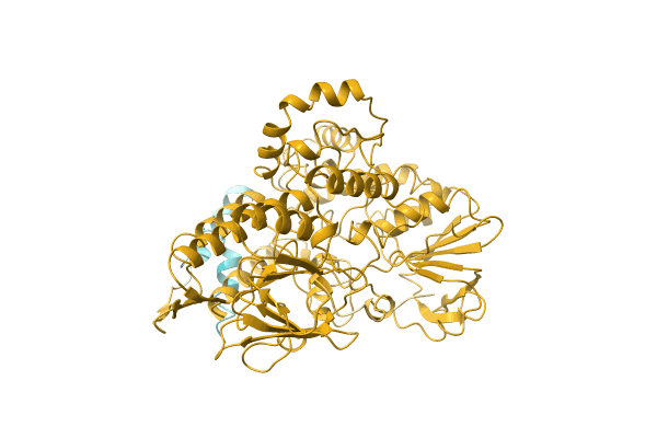 AF-A0A1L9WQQ1-F1 image