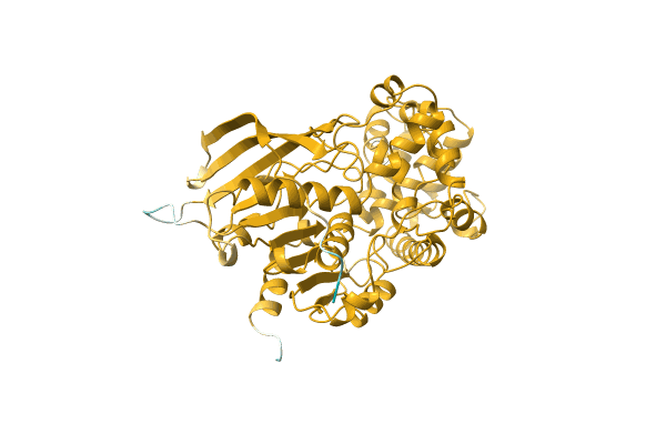 AF-A0A1L9WUM2-F1 image