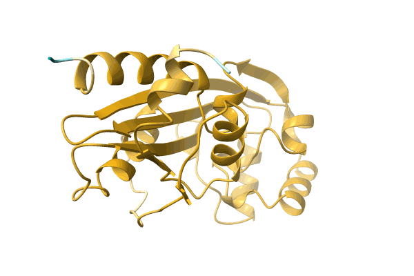 AF-A0A1M4T789-F1 image