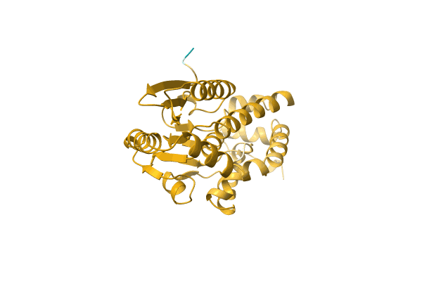 AF-A0A1M4T867-F1 image