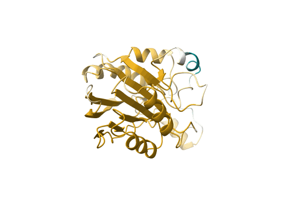 AF-A0A1M4TBM9-F1 image
