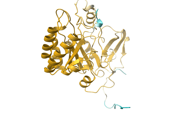 AF-A0A1M4YHW5-F1 image