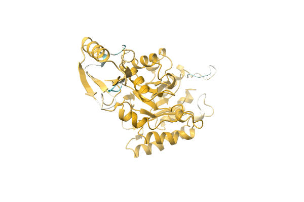 AF-A0A1M5BEU2-F1 image