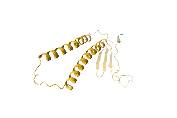 AF-A0A1P7ZKF7-F1 image