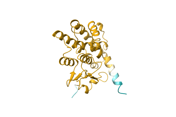 AF-A0A1P8L0T8-F1 image