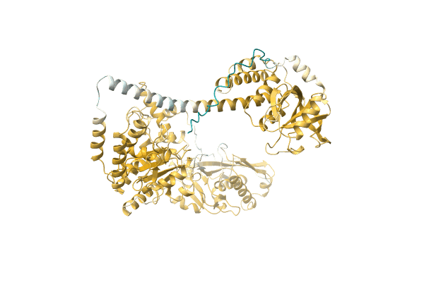 AF-A0A1Q3S544-F1 image