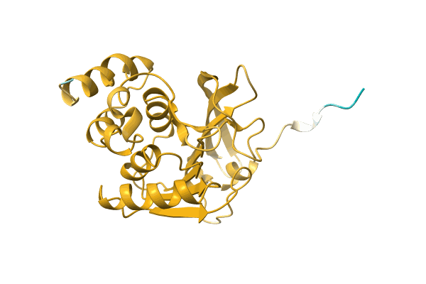 AF-A0A1Q3Y5H0-F1 image