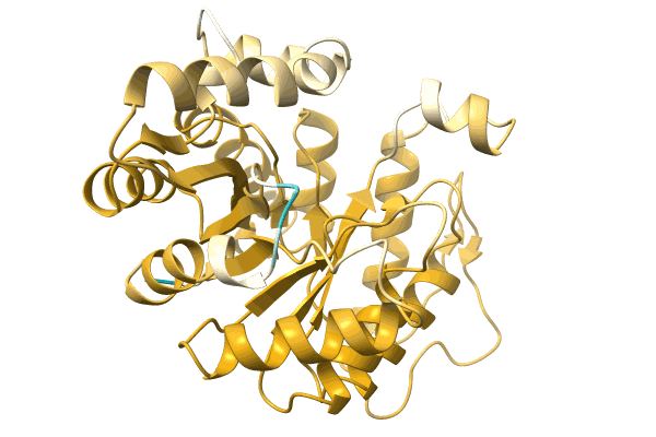 AF-A0A1Q4U1K2-F1 image